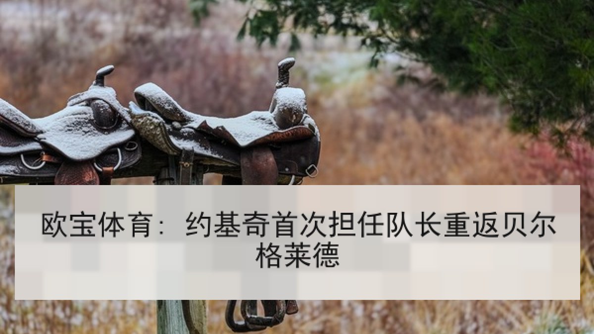 欧宝体育: 约基奇首次担任队长重返贝尔格莱德 欧宝体育: 约基奇首次担任队长重返贝尔格莱德