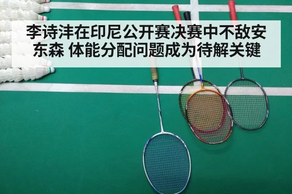 badminton match court