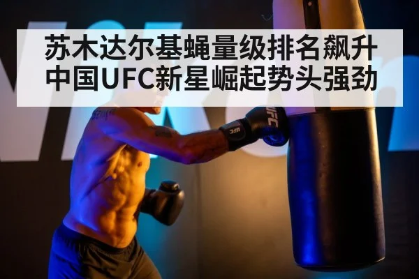 苏木达尔基蝇量级排名飙升中国UFC新星崛起势头强劲