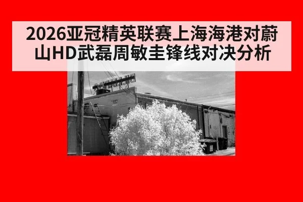2026亚冠精英联赛上海海港对蔚山HD武磊周敏圭锋线对决分析